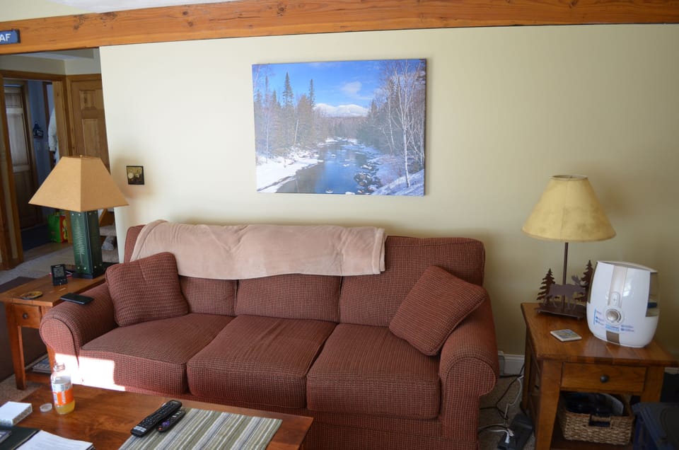 living room couch