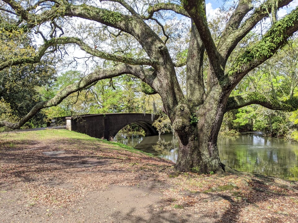 Audubon Park

