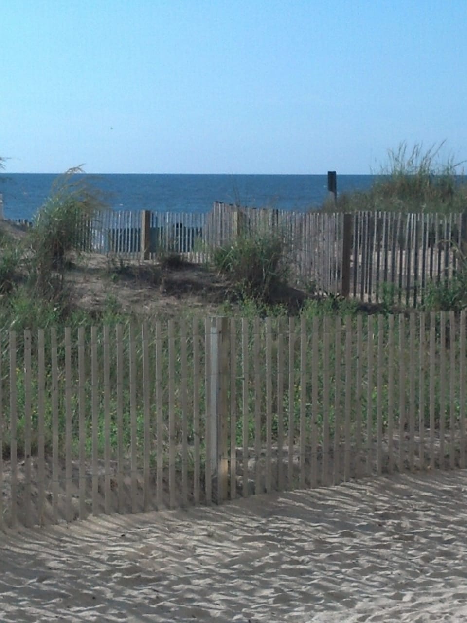 Dune crossing on southern side of Purnell House viewed from LR patio.