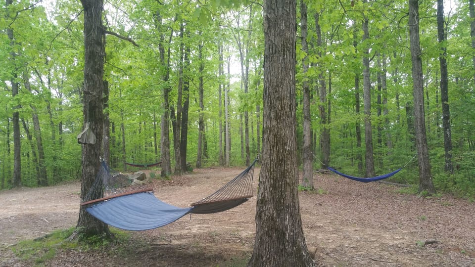 Several hammocks are scattered around the cabin area.
