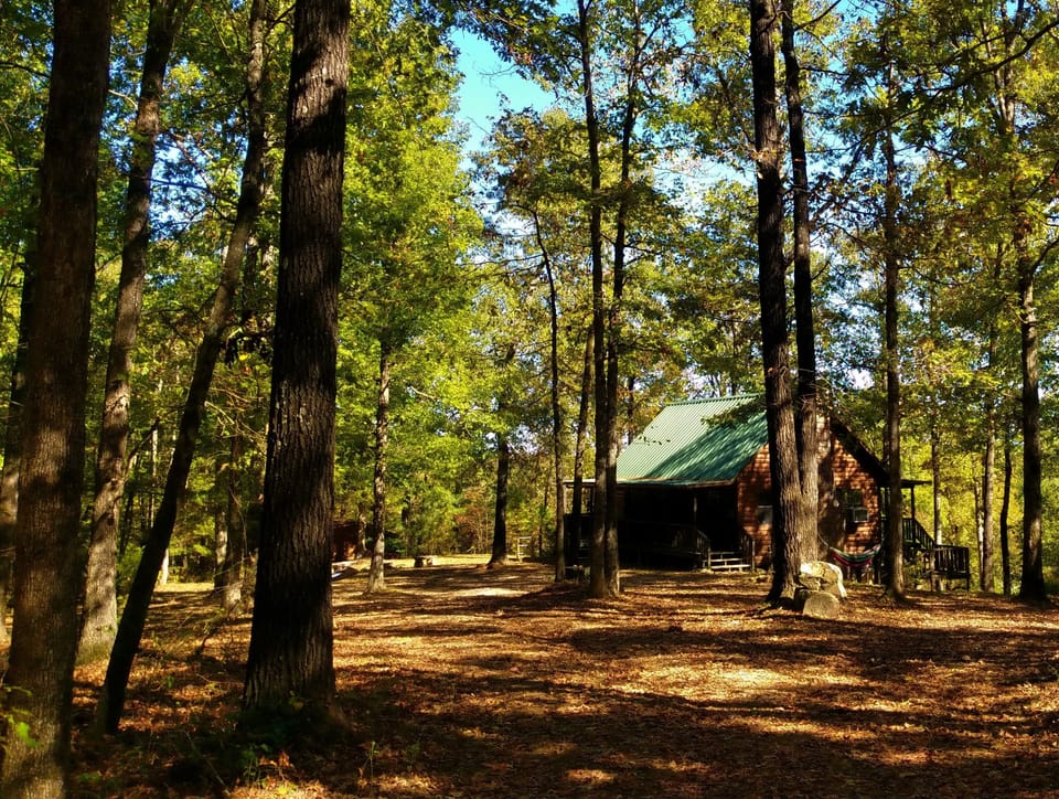 Cabin in the woods!