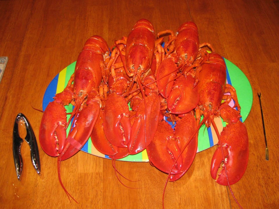 Lobster!!!! YUMMMM!!
These ones were caught in Union Bay, 5 min motor boat ride