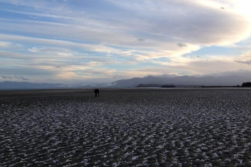 Beach looking south towards Collingwood