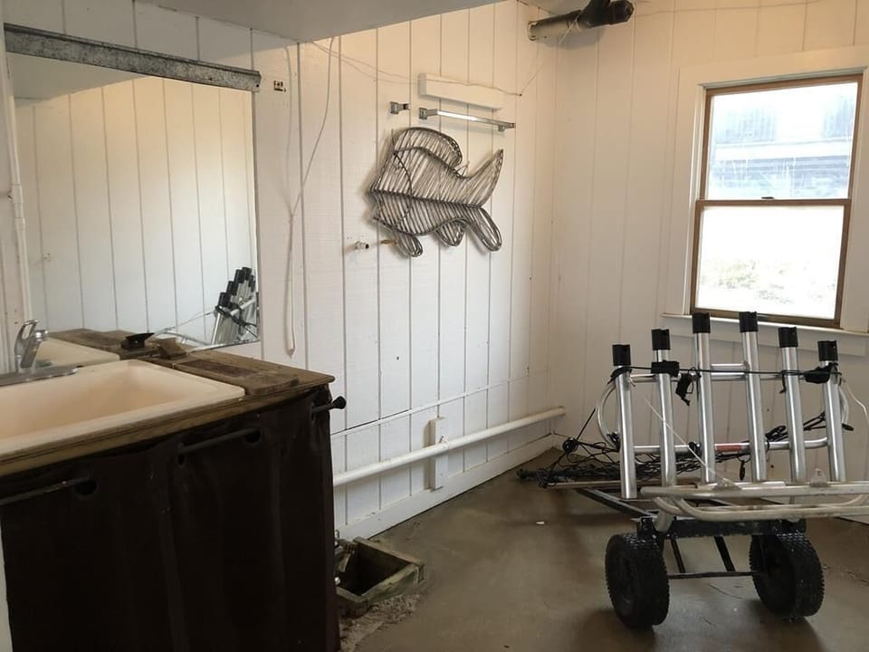 Fish Cleaning Station