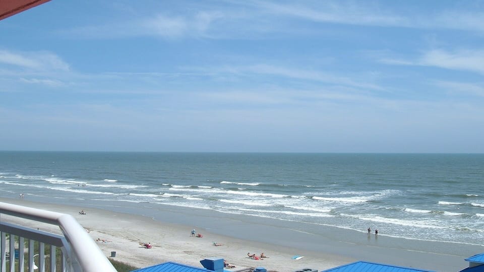 North View