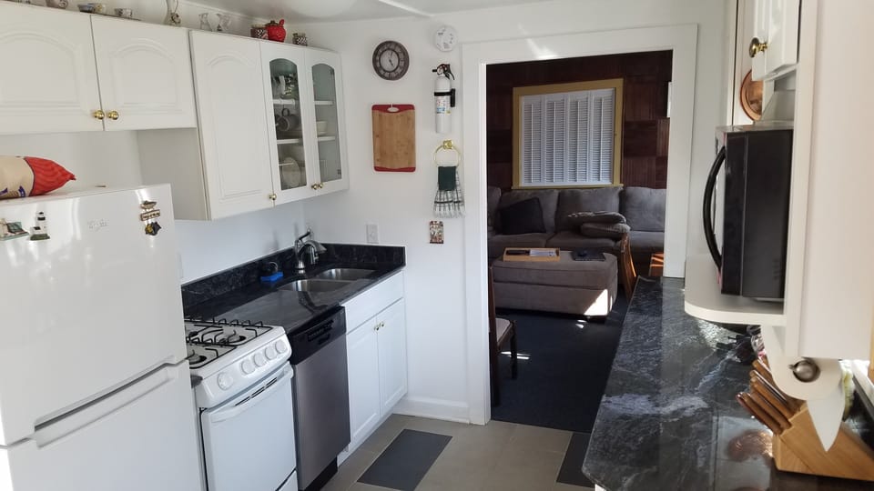 New granite countertops, fridge with icemaker, dishwasher, stove, microwave