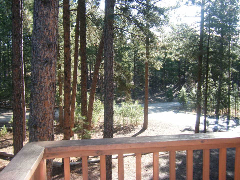 View from front deck