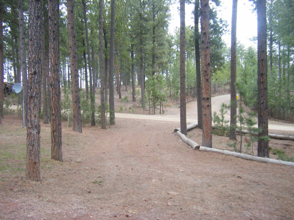 Semi-circle drive in front