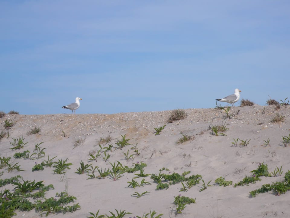 Dunes Smith Point Beach