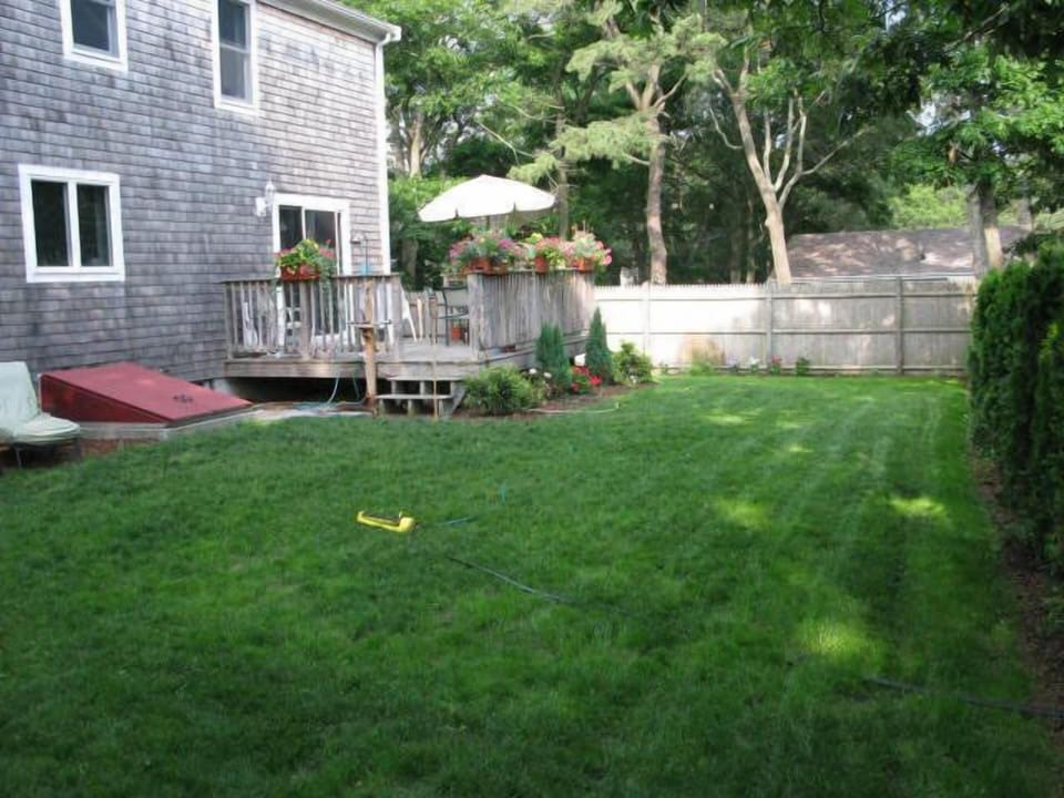 Fenced in back yard.