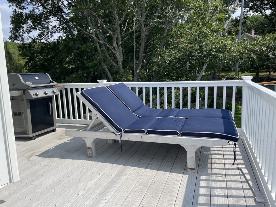 2 Chaise Lounges with cushions on deck