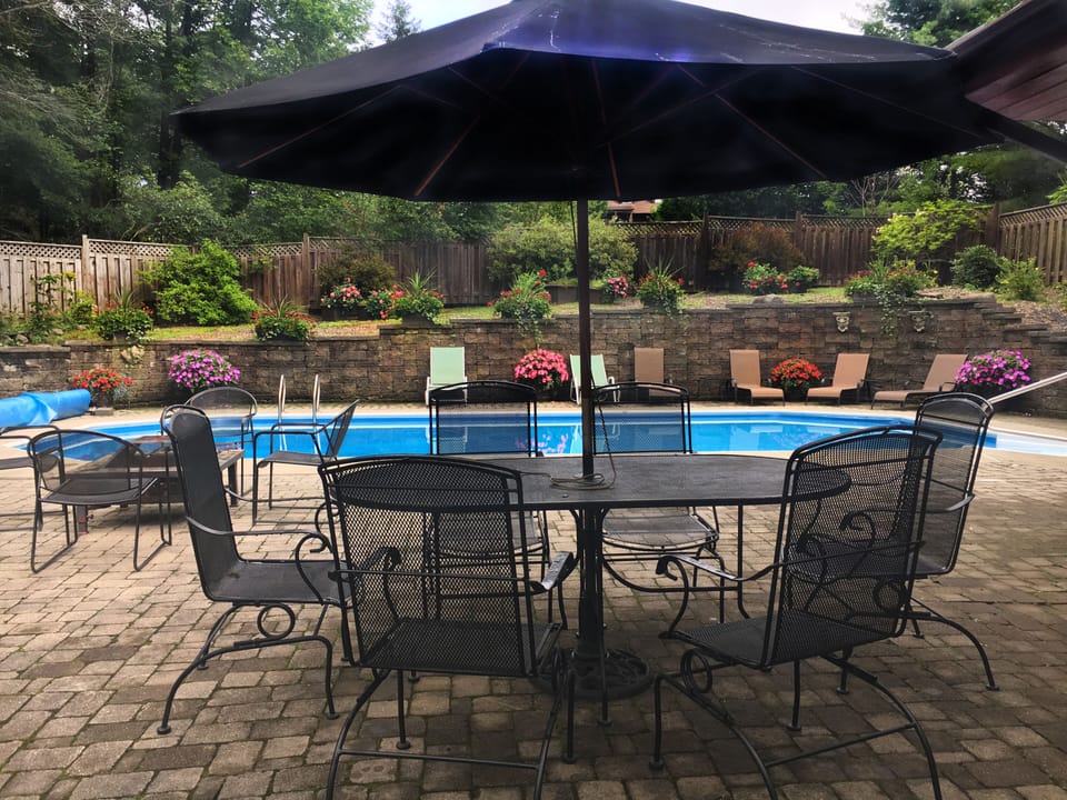 Back patio and pool