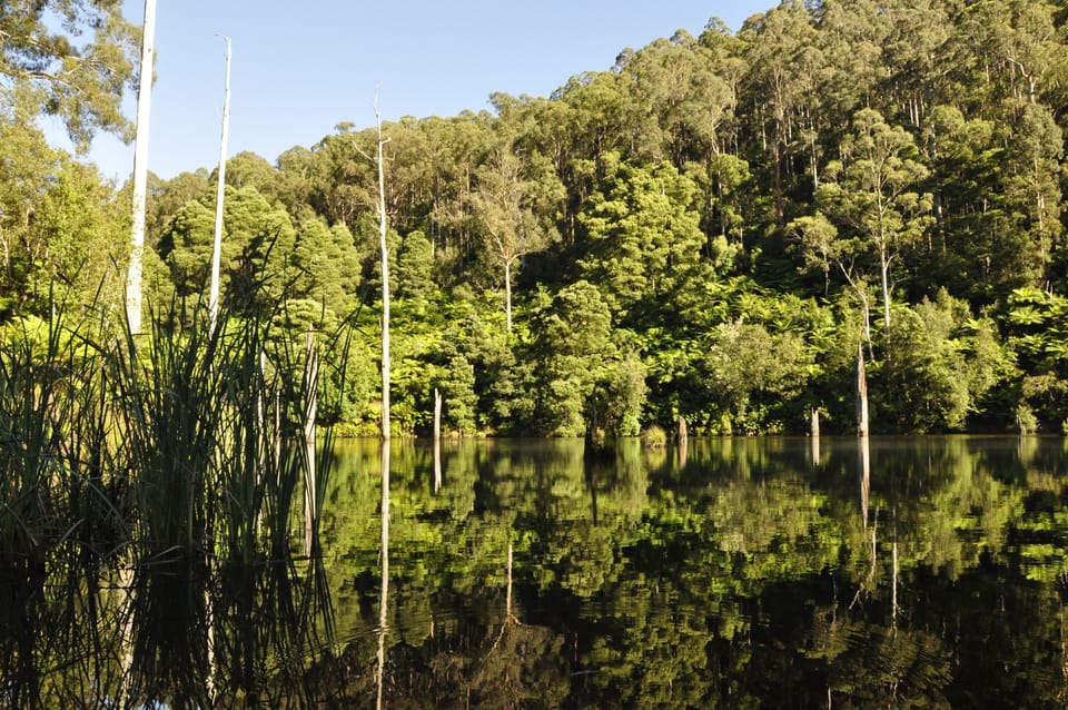 beautiful Lake Elizabeth