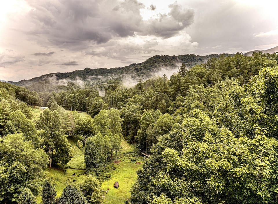 Breathtaking forest, mountain views, and surroundings
