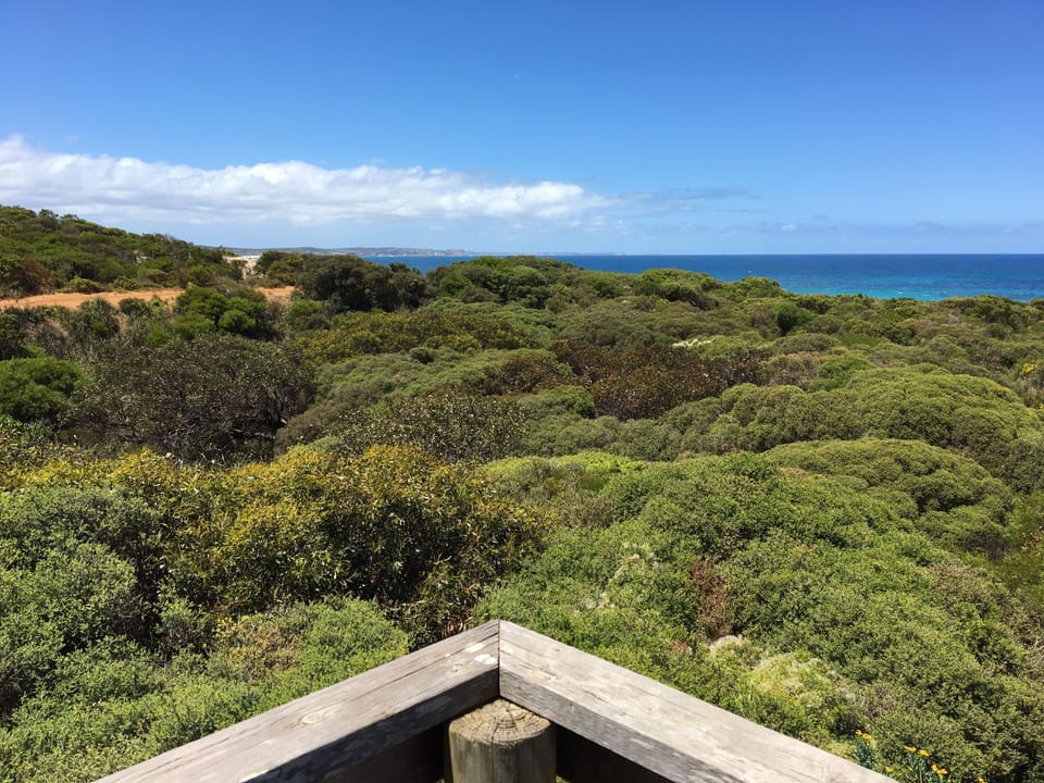 View towards Nobby Islet and Cape Gantheaume in the distance