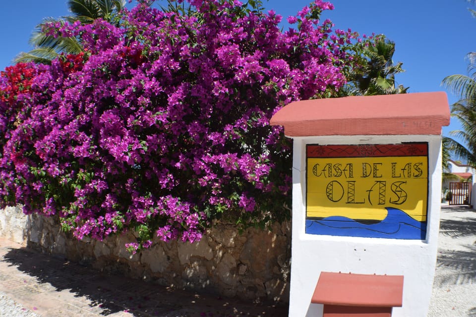 Casa de las Olas Driveway Entrance