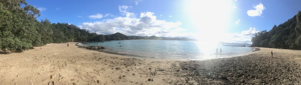 Whale Bay