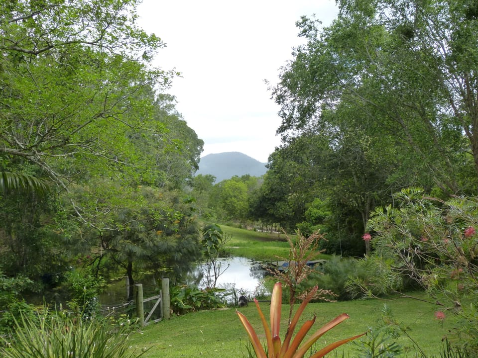 view from the balcony to Mt Eerwah