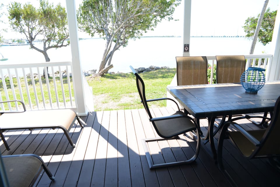 Back Patio