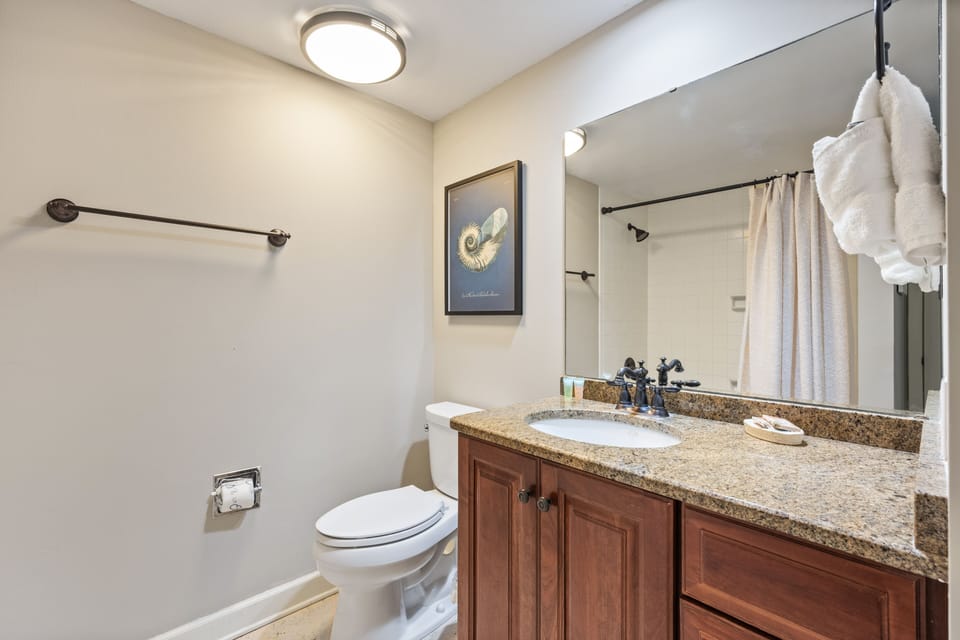 Guest bathroom