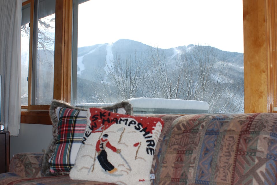 View Of Loon