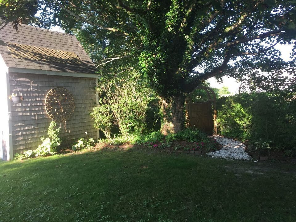 Backyard Gate and Path