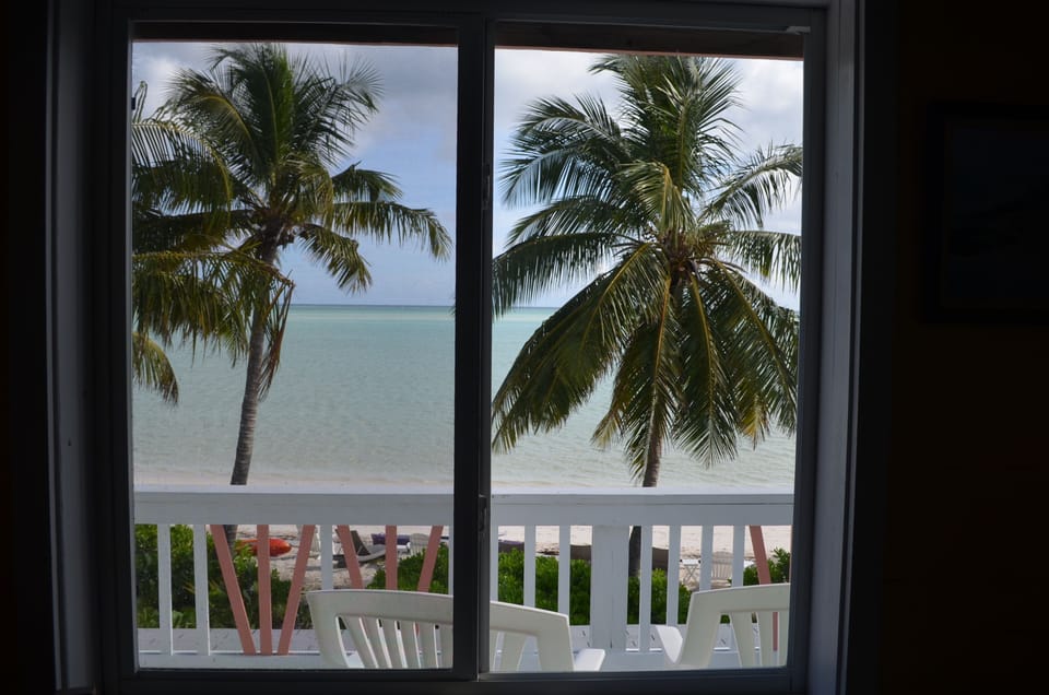 View from the living room.