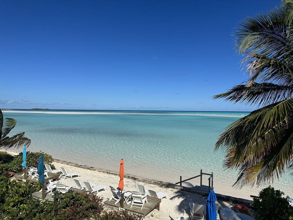 View from the porch.