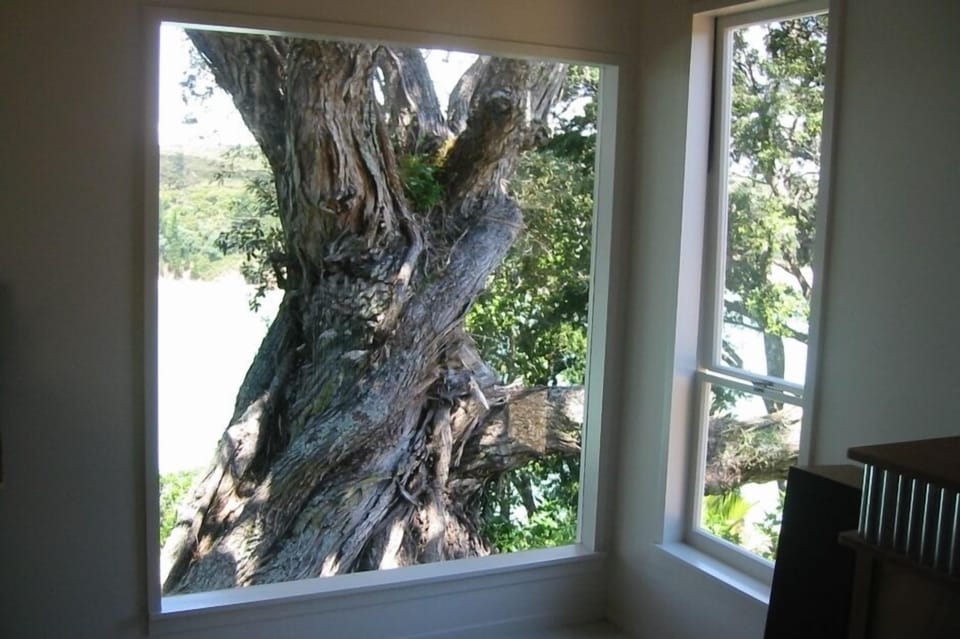 Lounge - 500 yr old Pohutukawa trunk, floodlit by night