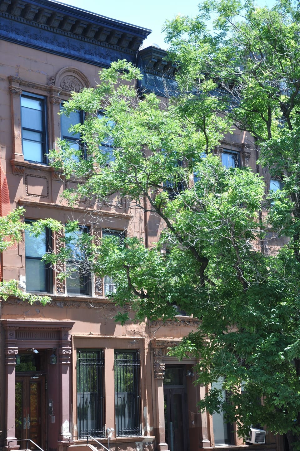 Lita's New York Apartments