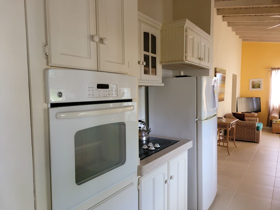 Appliances in the kitchen area.