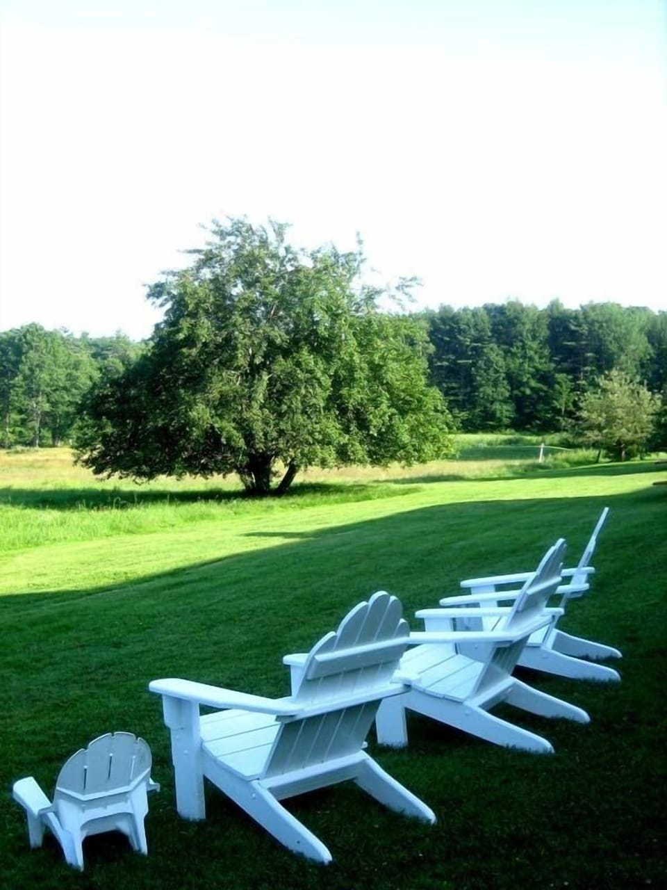 Chairs looking out to the water