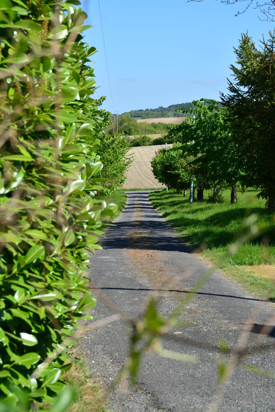 Access road