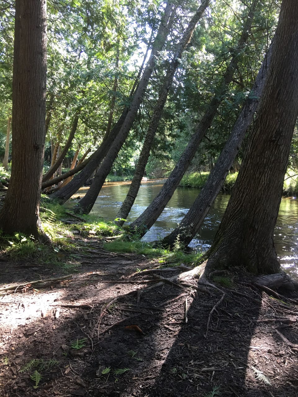 The view up-river from my favorite chair!