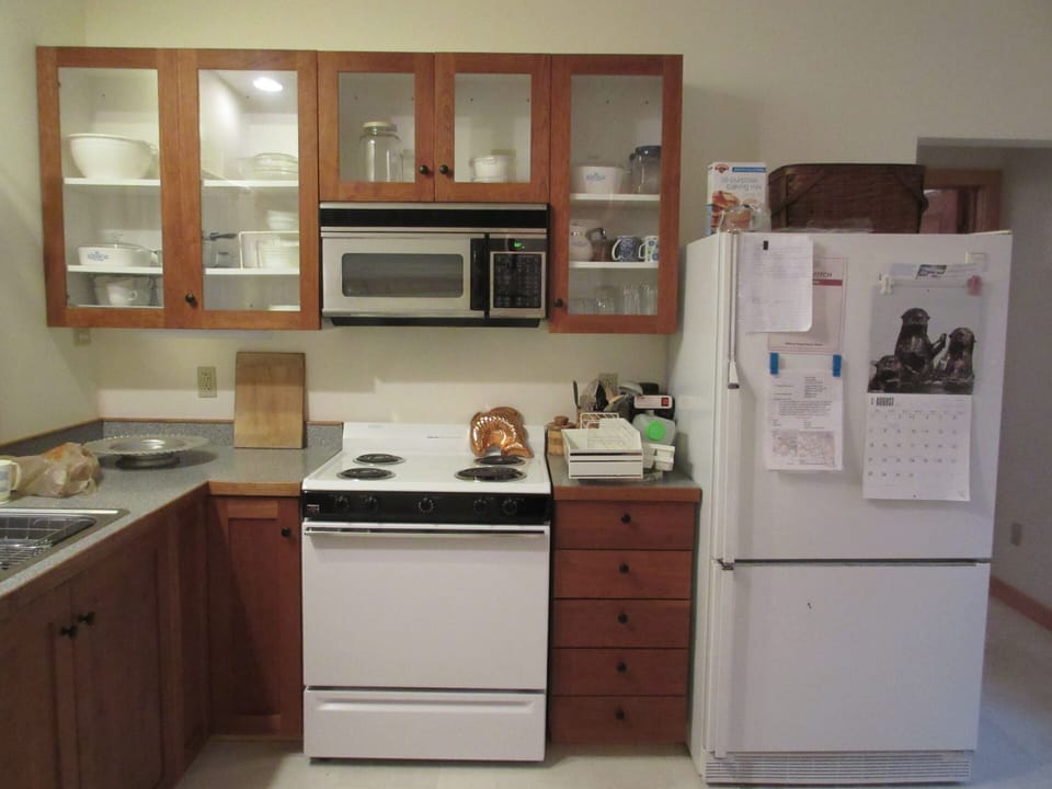 Kitchen cabinets, work area, & appliances (dish washer is to left)