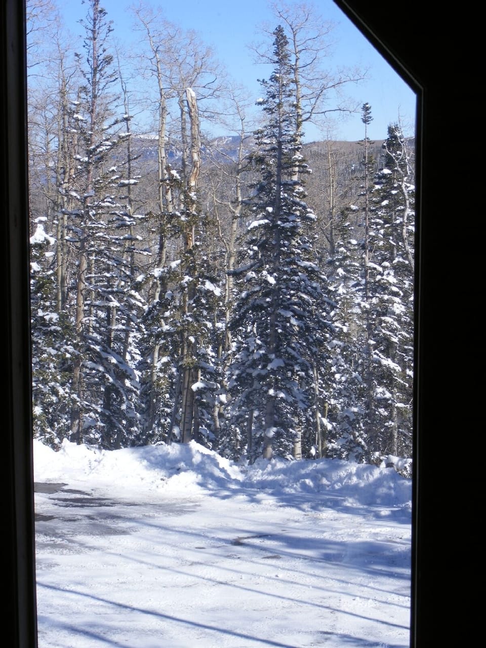 Located in a private wooded cul-de-sac