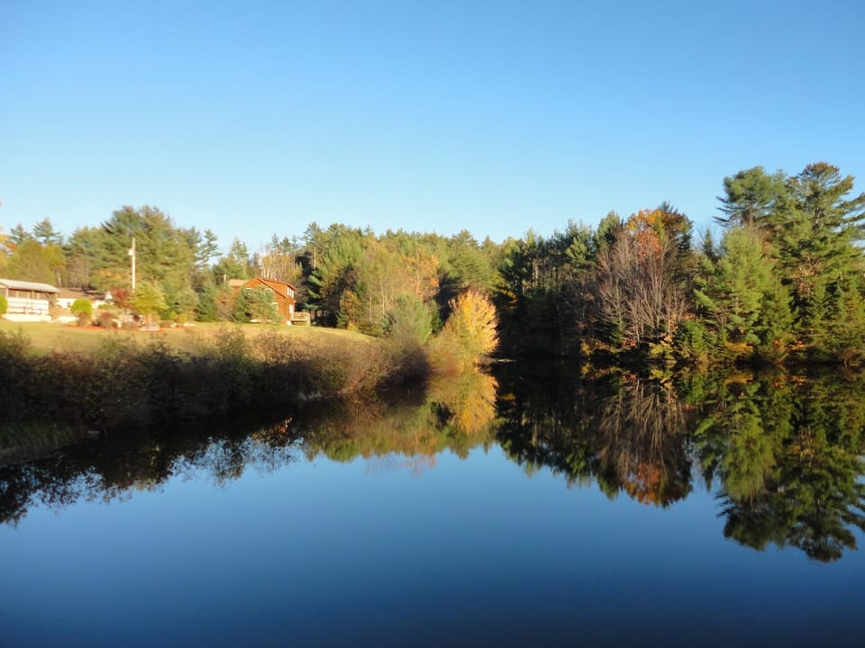 the lake in fall