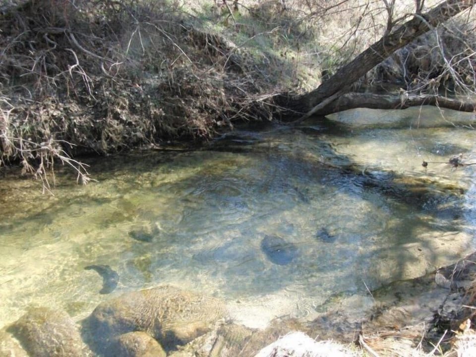 Several deep water holes for soaking.
