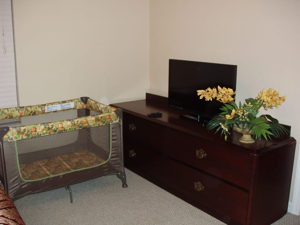 Play pan, Dress and TV in master bedroom
