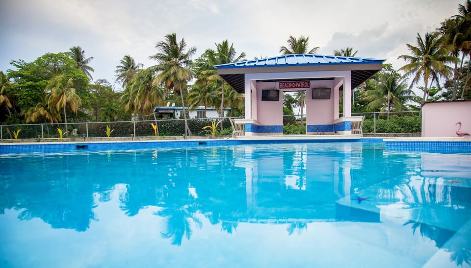 Pool & Flamingo Pool Bar