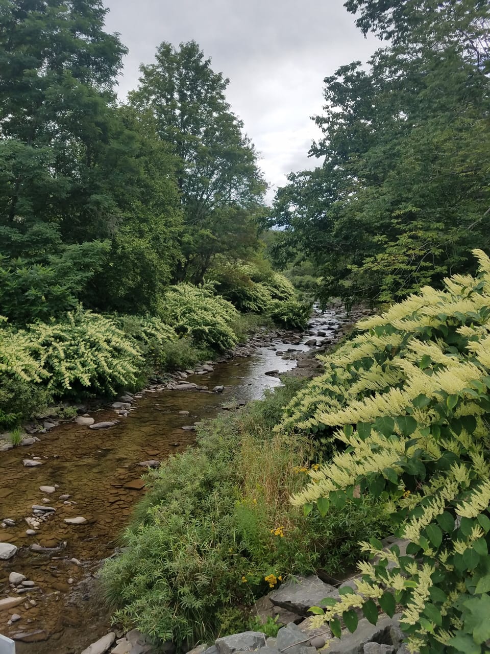 stream 1/2 mile away.