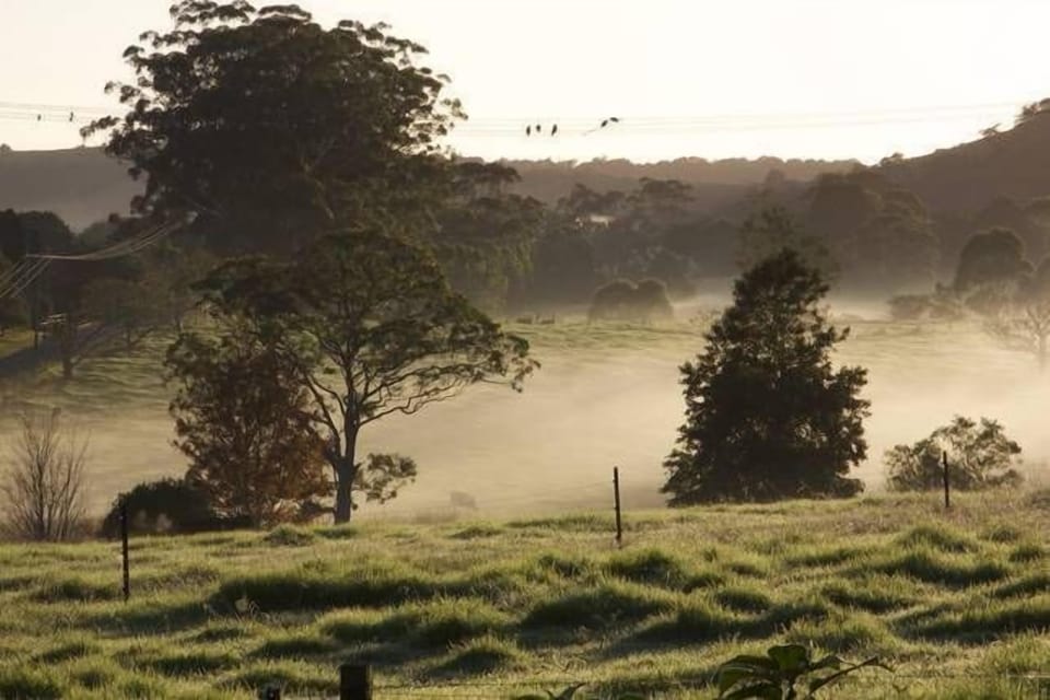 Misty morning seen from the cottage