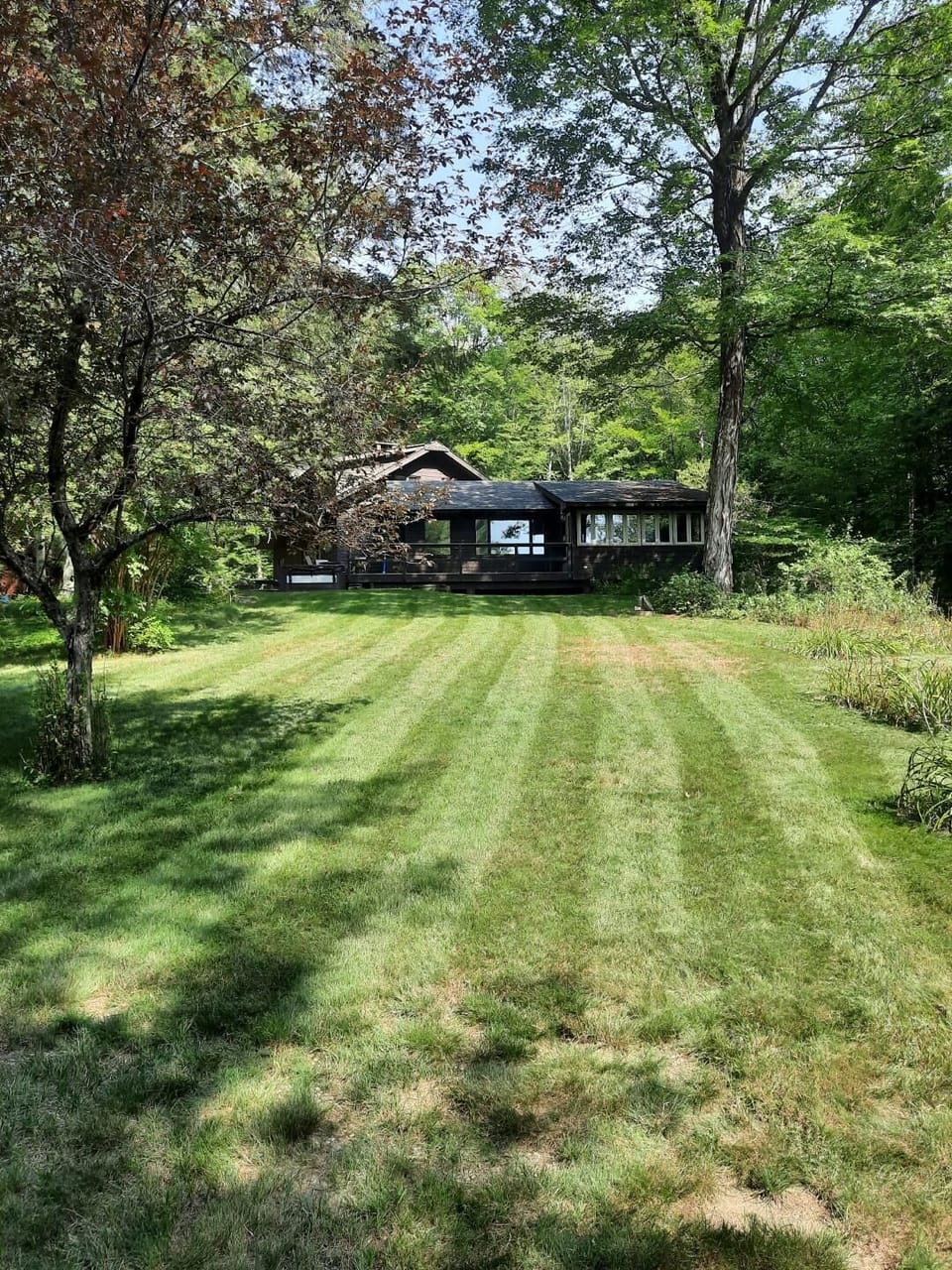 2-acre lawn & daylily gardens, a paradise for active kids to play!