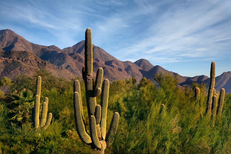 Enjoy gorgeous mountain, desert and sunset views from the rooftop deck!
