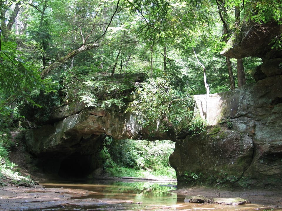 Visit in the Area: Rock Bridge, great 1 hours trail