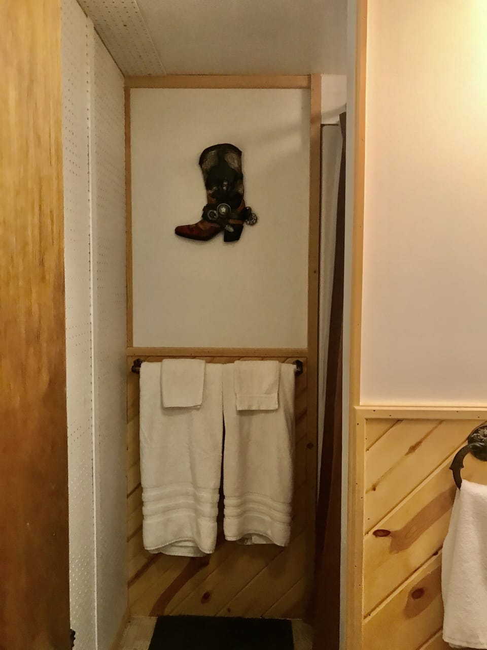 Lower level bathroom