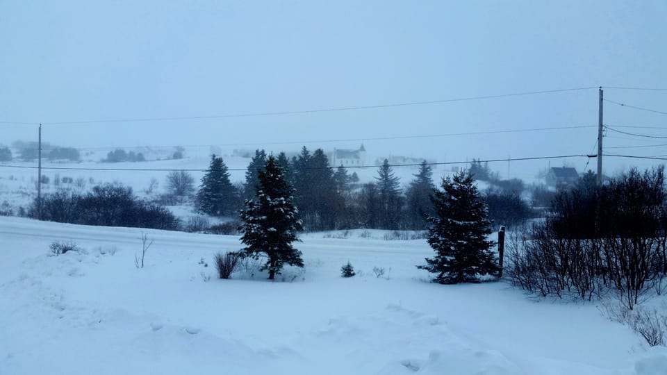 View from the deck during a winter storm, Feb 2015.
