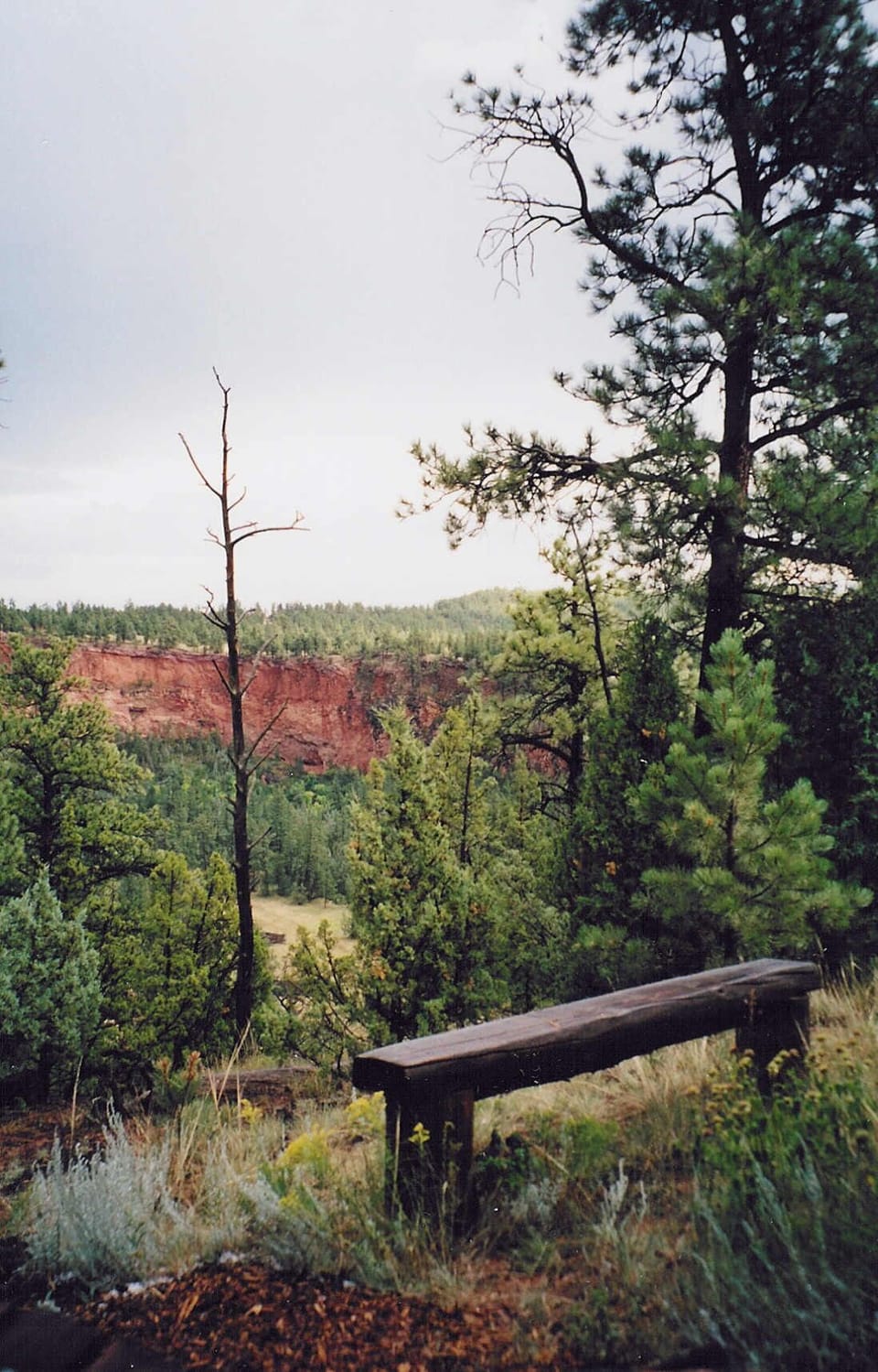 Canyon wall to the east from 2nd bedroom deck