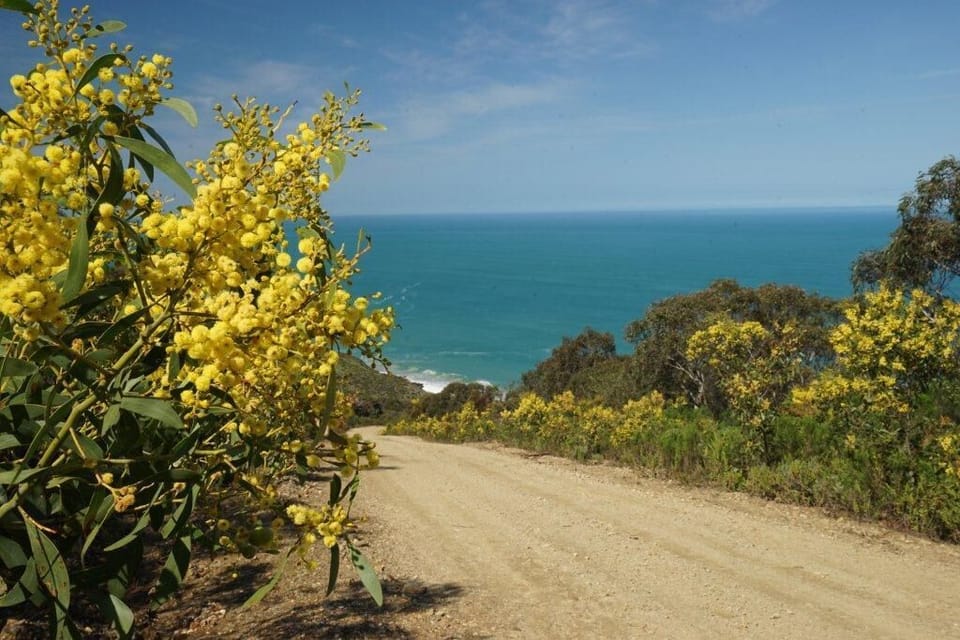 road to Boat Harbor beach