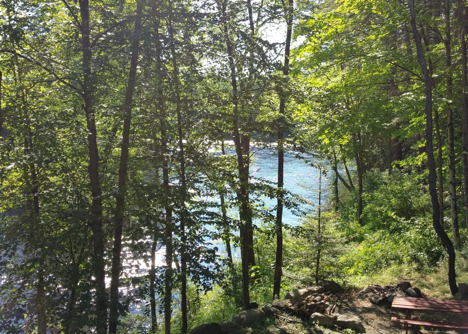 Looking upriver from the covered deck, during summer.